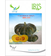 Pumpkin / Kaddoo F1 Iris IHS-333 10 grams